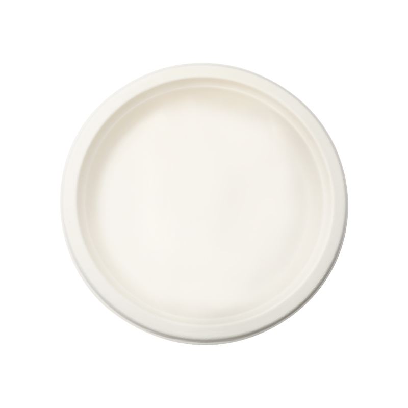 Oval Eco-Friendly Serving Plate