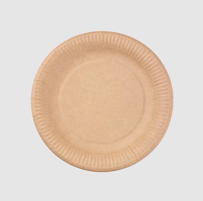 Bakit Ang mga Biodegradable Paper Plate ay Nagre-reshape ng Catering Packaging?